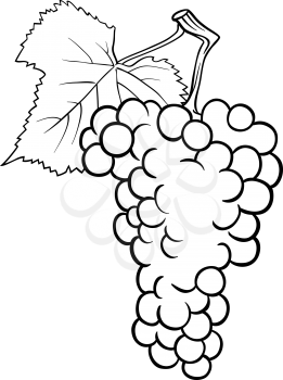 Black and White Cartoon Illustration of Bunch of Grapes or Grapevine Fruit Food Object for Coloring Book