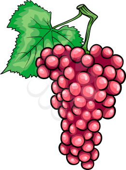 Cartoon Illustration of Bunch of Red or Pink Grapes or Grapevine Fruit Food Object