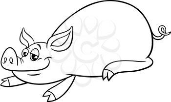 Black and white cartoon illustration of funny pig comic farm animal character coloring book page