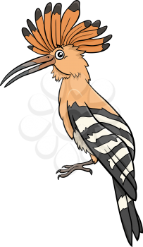 Cartoon illustration of funny hoopoe bird comic animal character