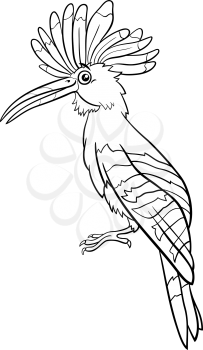 Black and white cartoon illustration of funny hoopoe bird animal character coloring book page
