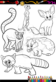 Coloring Book or Page Cartoon Illustration Set of Black and White Wild Animals Characters for Children