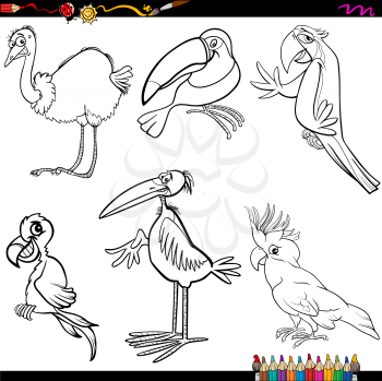 Coloring Book Cartoon Illustration of Funny Birds Characters Set