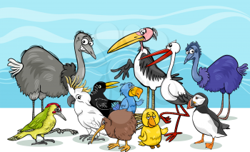 Cartoon Illustration of Various Birds Animal Characters Group