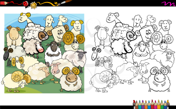 Cartoon Illustration of Sheep Farm Animal Characters Coloring Book Activity