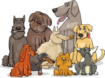 Cartoon Illustration of Purebred Dogs Animal Characters Group