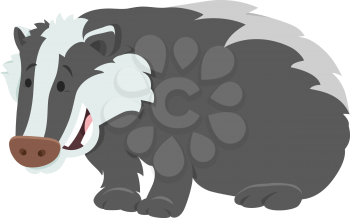 Cartoon Illustration of Funny Badger Wild Animal Character