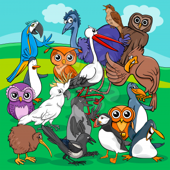 Cartoon Illustration of Funny Birds Animal Characters Group