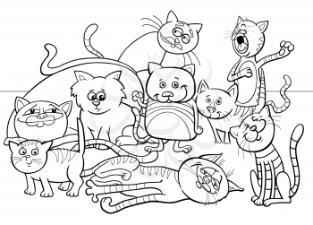 Black and White Coloring Book Cartoon Illustration of Funny Cats or Kittens Animal Characters Group