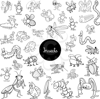 Black and White Cartoon Illustration of Insects Animal Characters Large Set Coloring Book