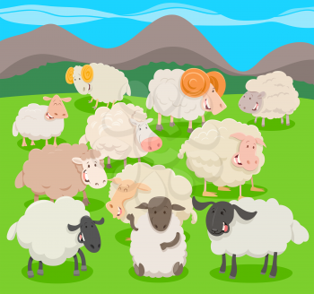 Cartoon Illustration of Flock of Sheep Farm Animal Characters