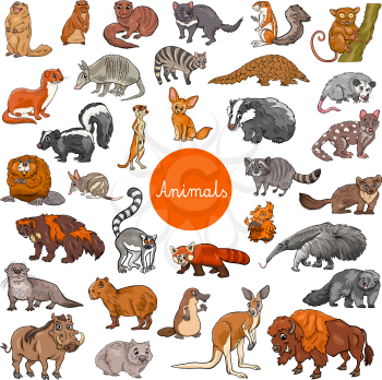 Cartoon Illustration of Wild Mammals Animal Characters Big Set