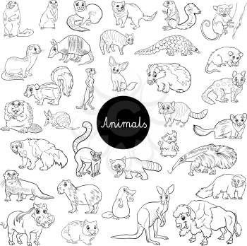 Black and White Cartoon Illustration of Wild Mammals Animal Characters Big Set Coloring Book