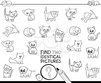 Black and White Cartoon Illustration of Finding Two Identical Pictures Educational Game for Kids with Kitten Characters Coloring Book