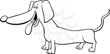 Black and White Cartoon Illustration of Funny Purebred Dachshund Dog Animal Character Coloring Book