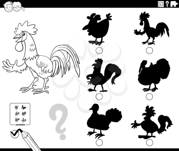 Black and White Cartoon Illustration of Finding the Right Shadow to the Picture Educational Game for Children with Rooster Farm Animal Character Coloring Book Page