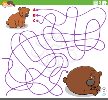 Cartoon illustration of lines maze puzzle game with baby bear animal character and his mother