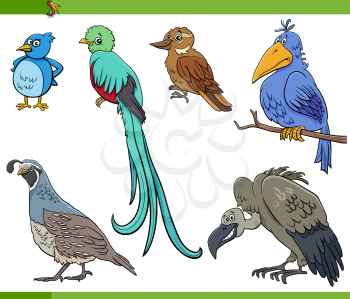 Cartoon illustration of birds animal characters set