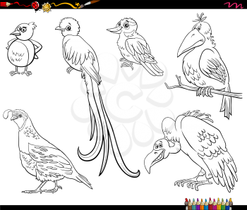 Black and white cartoon illustration of birds animals comic characters set coloring book page