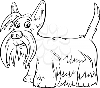 Black and white cartoon illustration of Scottish Terrier purebred dog animal character coloring book page