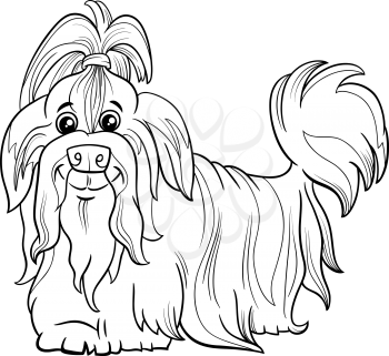 Black and white cartoon illustration of Shih Tzu purebred dog animal character coloring book page