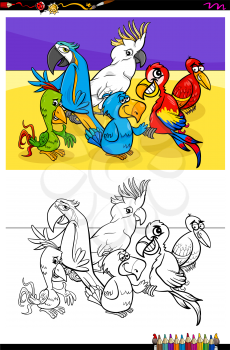 Cartoon Illustration of Funny Parrots Birds Animal Characters Coloring Book Activity