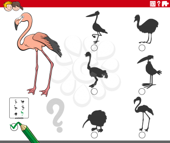 Cartoon Illustration of Finding the Right Shadow to the Picture Educational Game for Children with Flamingo Bird Animal Character