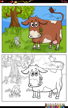 Cartoon illustration of cow farm animal character on the pasture coloring book page