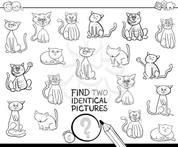 Black and White Cartoon Illustration of Finding Two Identical Pictures Educational Game for Children with Cats and Kitten Characters Coloring Book