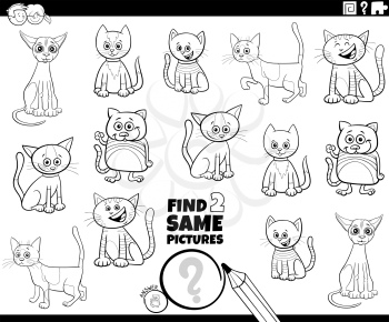 Black and White Cartoon Illustration of Finding Two Same Pictures Educational Activity Game for Children with Cats and Kittens Animal Characters Coloring Book Page