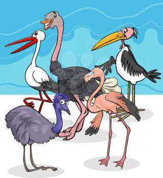 Cartoon Illustration of Wild Comic Birds Animal Characters Group