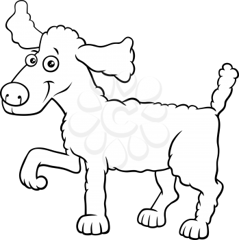 Black and White Cartoon Illustration of Funny Poodle Dog Comic Animal Character Coloring Book Page