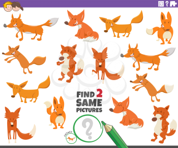 Cartoon Illustration of Finding Two Same Pictures Educational Task for Children with Funny Foxes Wild Animal Characters