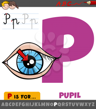Educational cartoon illustration of letter P from alphabet with pupil of the eye for children 