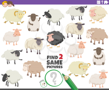 Cartoon Illustration of Finding Two Same Pictures Educational Task for Children with Funny Sheep Farm Animal Characters