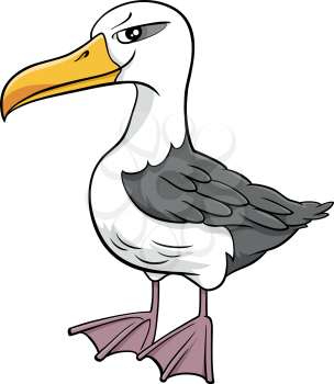 Cartoon Illustration of Funny Albatross Bird Animal Character