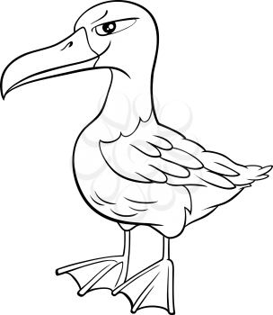 Black and White Cartoon Illustration of Funny Albatross Bird Animal Character Coloring Book Page