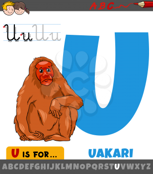 Educational cartoon illustration of letter U from alphabet with uakari animal character for children 