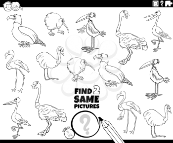Black and White Cartoon Illustration of Find Two Same Pictures Educational Task for Children with Birds Animal Characters Coloring Book Page
