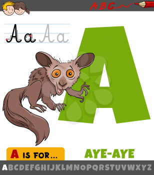 Educational cartoon illustration of letter A from alphabet with Aye-aye animal character for children 