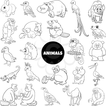 Black and white cartoon illustration of funny wild animal characters big set