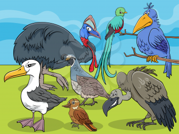 Cartoon illustration of funny birds animal comic characters group