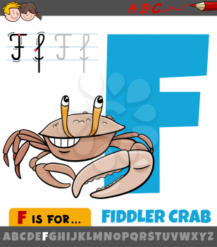 Educational cartoon illustration of letter F from alphabet with fiddler crab animal character