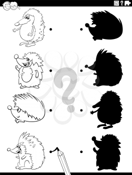 Black and white cartoon illustration of match the right shadows with pictures educational game for children with hedgehogs characters coloring book page