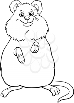 Black and white cartoon illustration of quokka comic animal character coloring book page