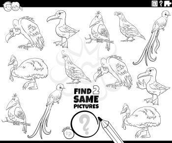 Black and white cartoon illustration of finding two same pictures educational game with funny birds comic animal characters coloring book page