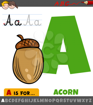 Educational cartoon illustration of letter A from alphabet with acorn object