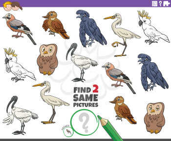 Cartoon illustration of finding two same pictures educational game with comic birds animal characters