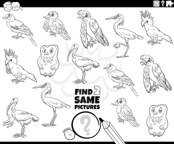 Black and white cartoon illustration of finding two same pictures educational game with comic birds animal characters coloring book page