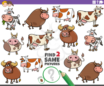 Cartoon illustration of finding two same pictures educational game with cows and bulls cattle farm animals characters